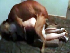 Animal porno with Animal Porn