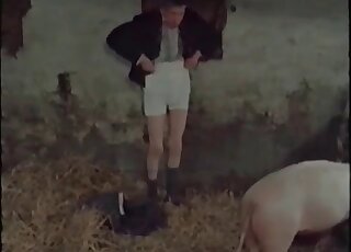 Adorable dark-haired gal gets fucked by a pig
