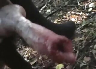 Passionate sex session with a very hot beast