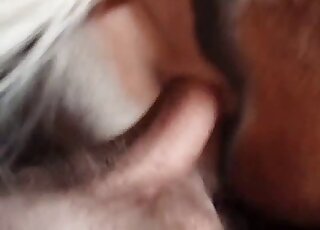 Screwing huge ass of my stunning hot horse