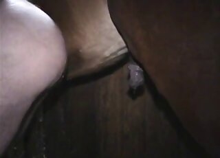 Compliant person needs that pony penis ASAP