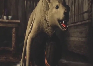 Good-looking girl fucks a wolf who gapes her