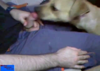 Zoo XXX shows a guy fucking a sexy animal