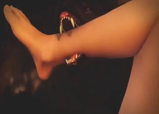 Zoo porn with a wolf-fucking 3D zoophile slut