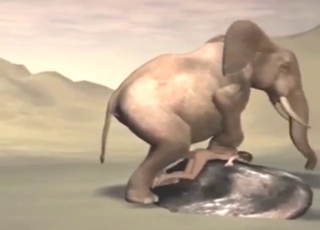 To fuck these women is to ruin their pussies