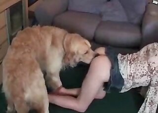 Puppy