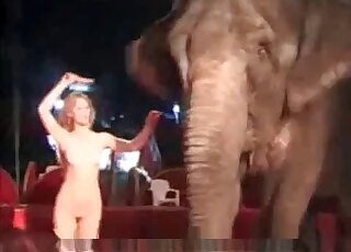 Elephant Porn Video