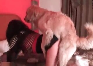 Gorgeous group sex scene with a sexy-ass pupper - سكس حيوانات كارتون 